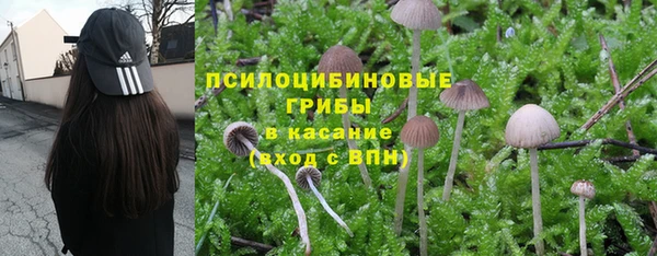 каннабис Майский