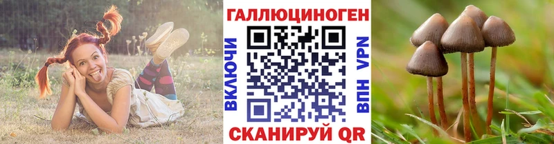 Галлюциногенные грибы мицелий  купить закладку  Вышний Волочёк 